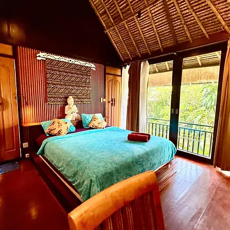 Little Tree House-2